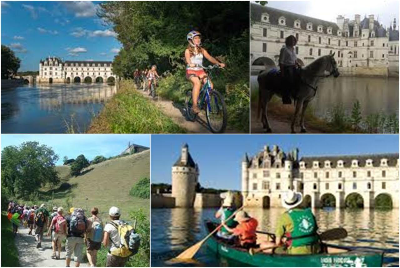Le Roi Coq Bed & Breakfast Chenonceaux Exterior photo
